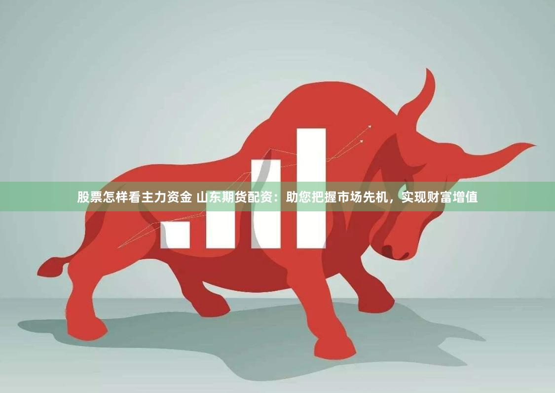 股票怎样看主力资金 山东期货配资：助您把握市场先机，实现财富增值