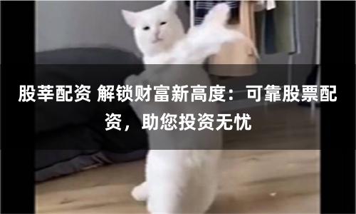 股莘配资 解锁财富新高度：可靠股票配资，助您投资无忧