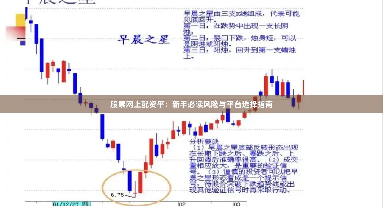 股票网上配资平：新手必读风险与平台选择指南