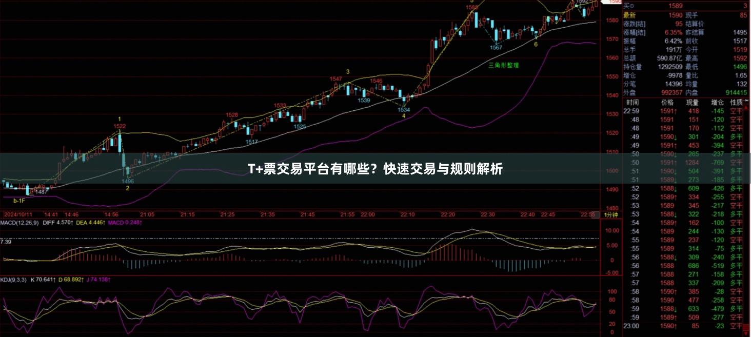 T+票交易平台有哪些？快速交易与规则解析